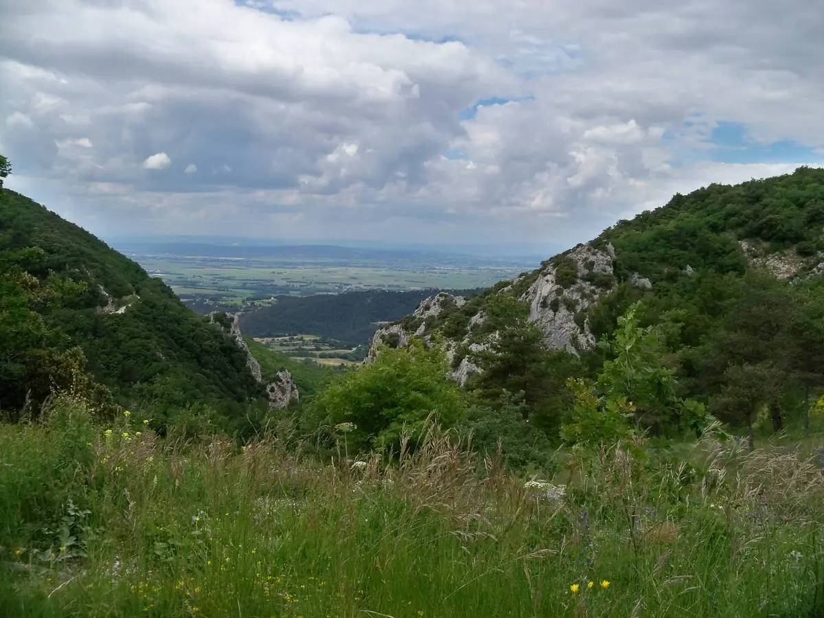 Rocky slopes of the Dentelles de Montmirail above a green valley and plain