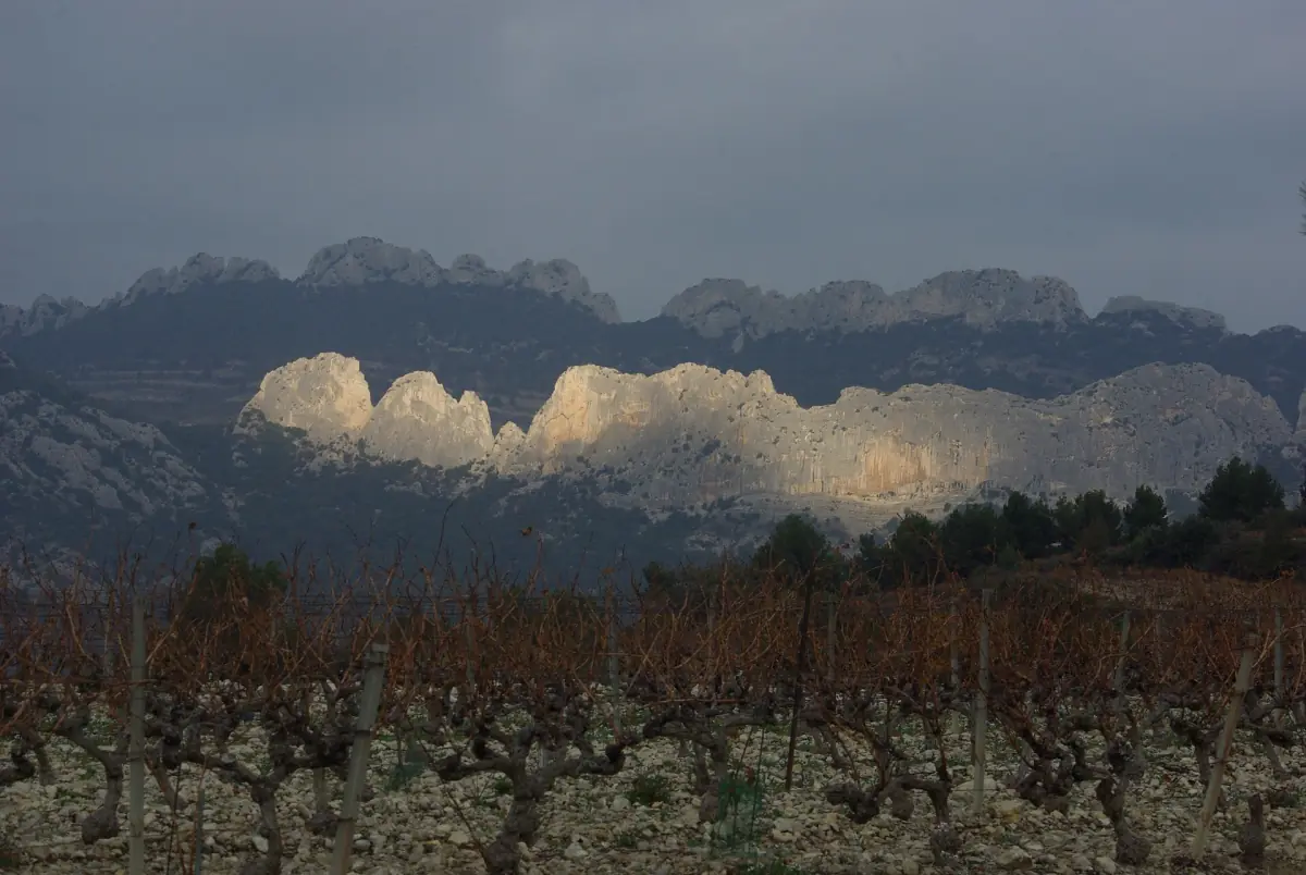 Dentelles de Montmirail peaks under sunlit clouds beyond bare winter vines