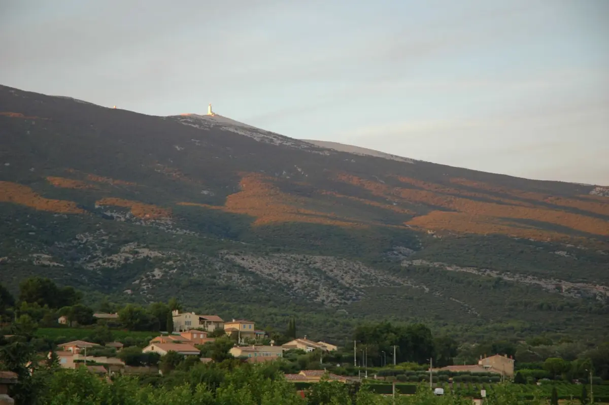 Mont Ventoux with its pale summit above autumn coloured slopes near Bédoin
