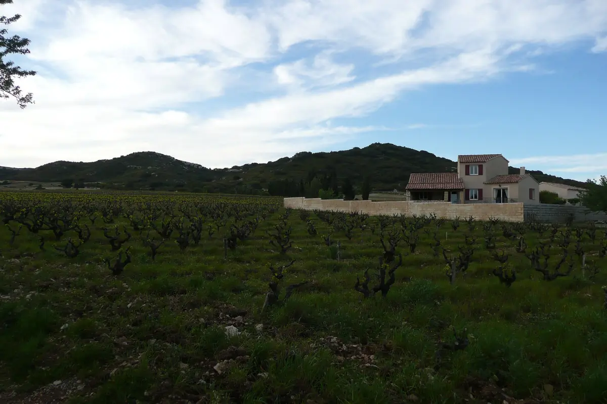 Vineyard rows with a country house and low hills in the Tavel countryside